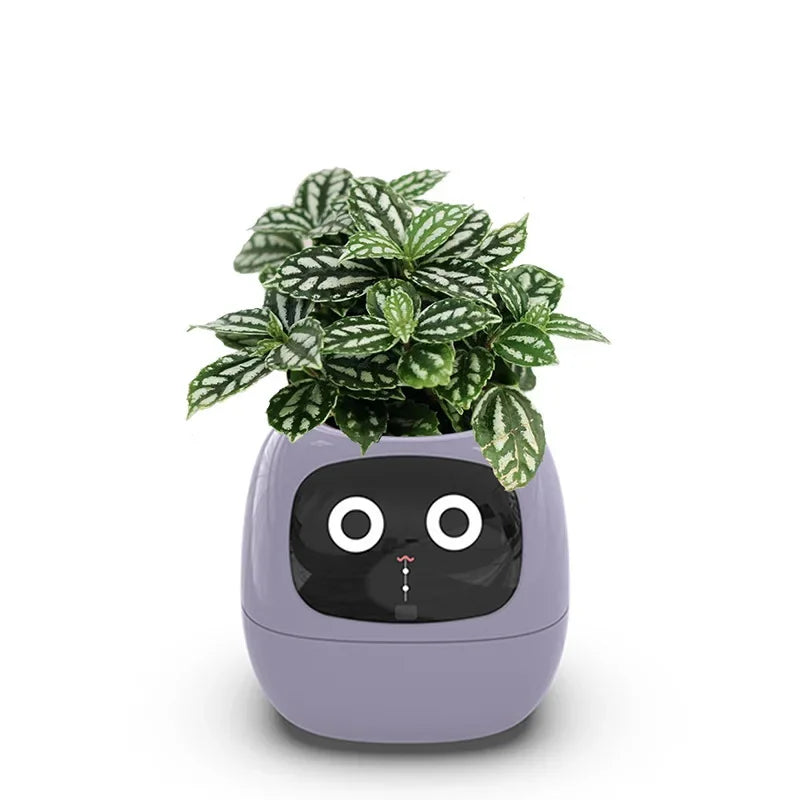 Ai Smart Planter
