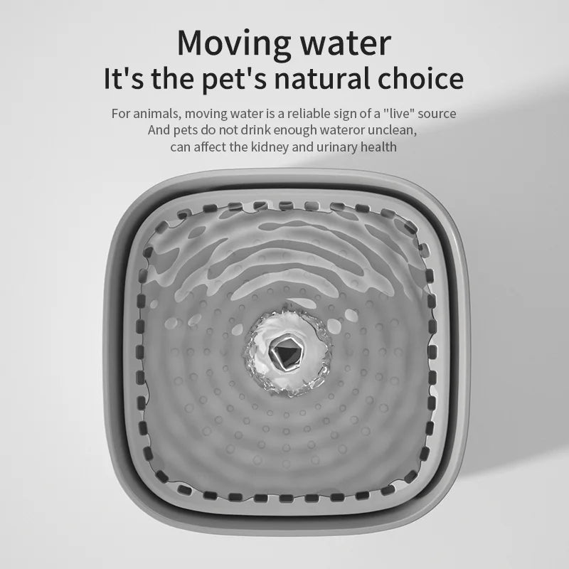 Unique Cat Water Fountain