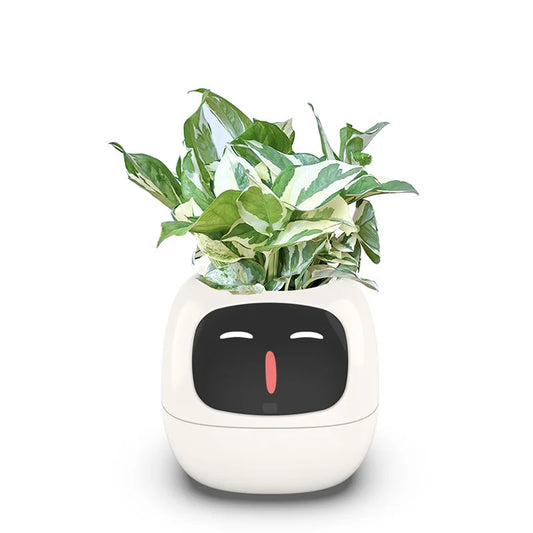 Ai Smart Planter
