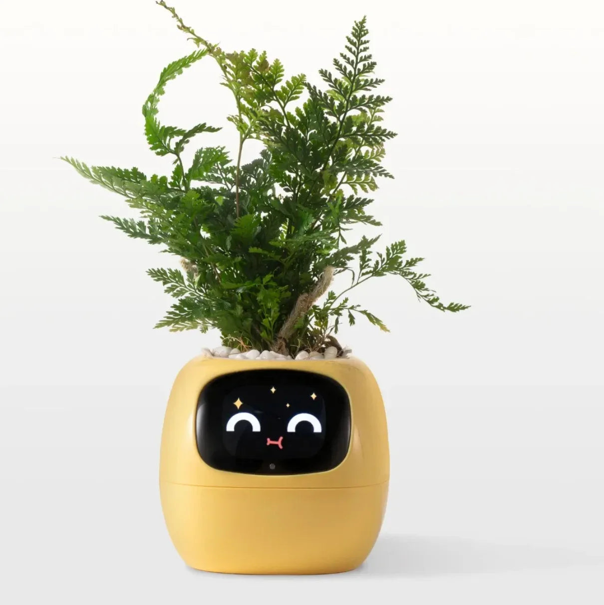 Ai Smart Planter