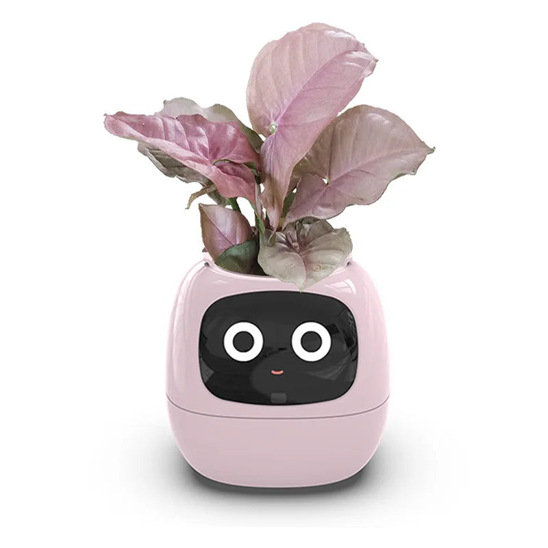 Ai Smart Planter