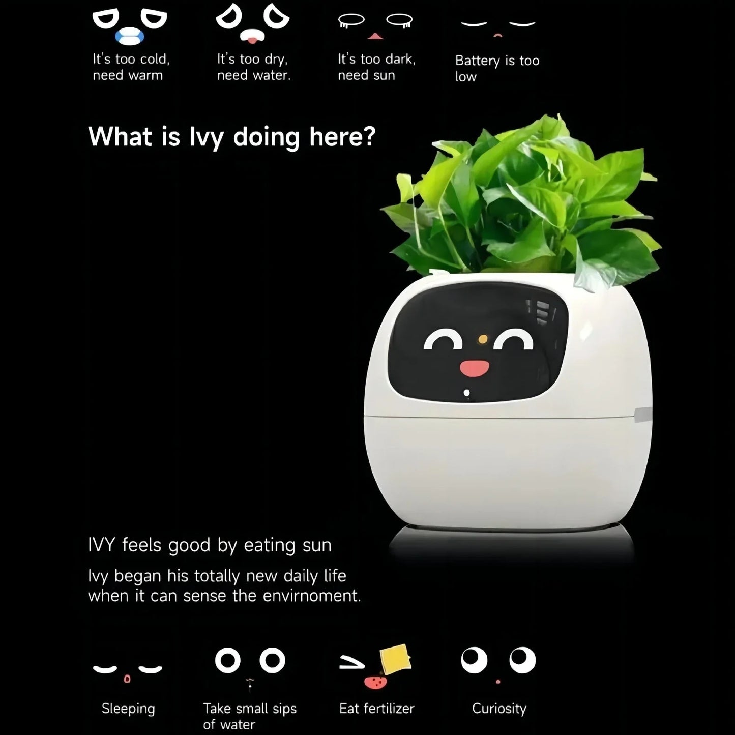 Ai Smart Planter