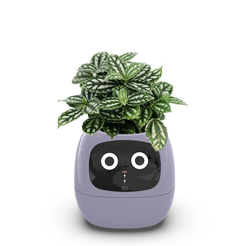 Ai Smart Planter