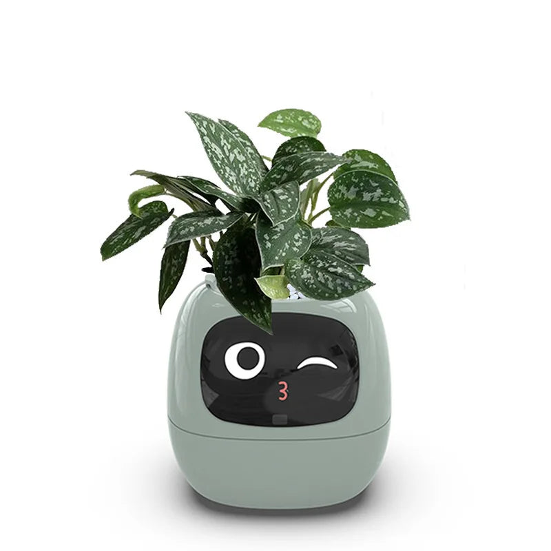 Ai Smart Planter