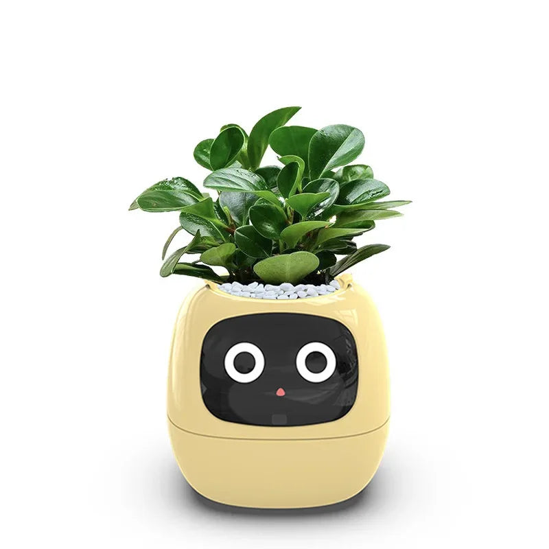 Ai Smart Planter